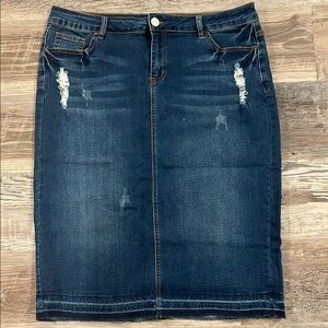 Denim Distressed Skirt